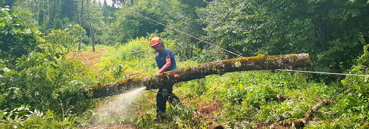 AAE-Wasserkraft Mitarbeiter schneiden mit Kettensäge umgestürzte Bäume von 20kv Leitung.