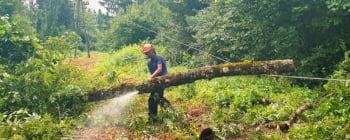 AAE-Wasserkraft Mitarbeiter schneiden mit Kettensäge umgestürzte Bäume von 20kv Leitung.
